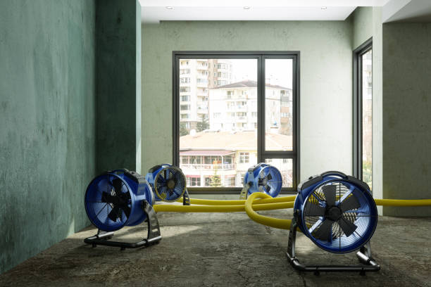 Water damage restoration process in Magnet Cove, AR