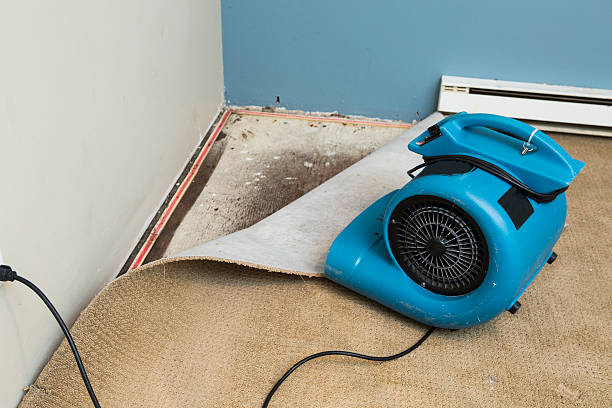 Best Ceiling water damage repair  in Magnet Cove, AR